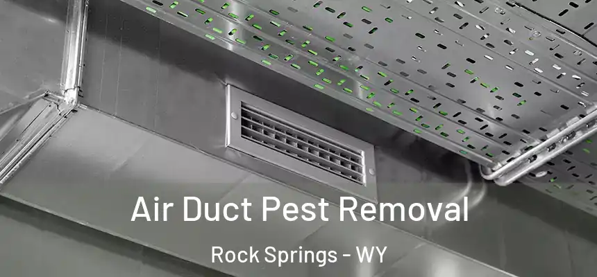  Air Duct Pest Removal Rock Springs - WY