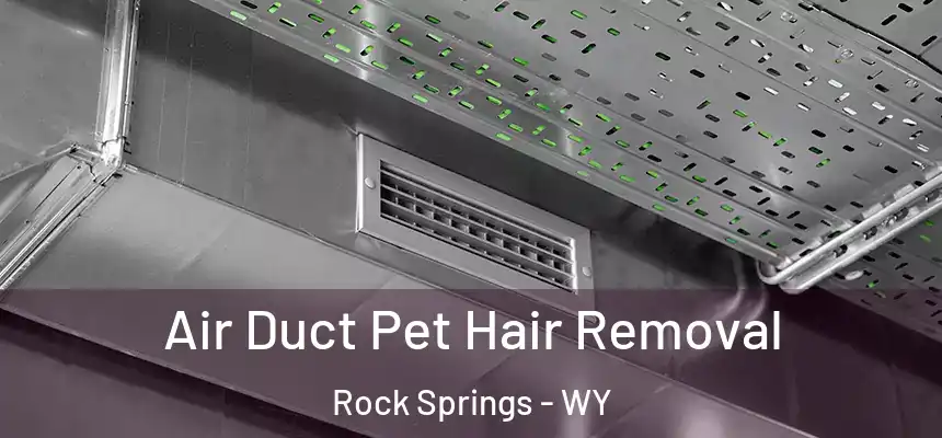 Air Duct Pet Hair Removal Rock Springs - WY