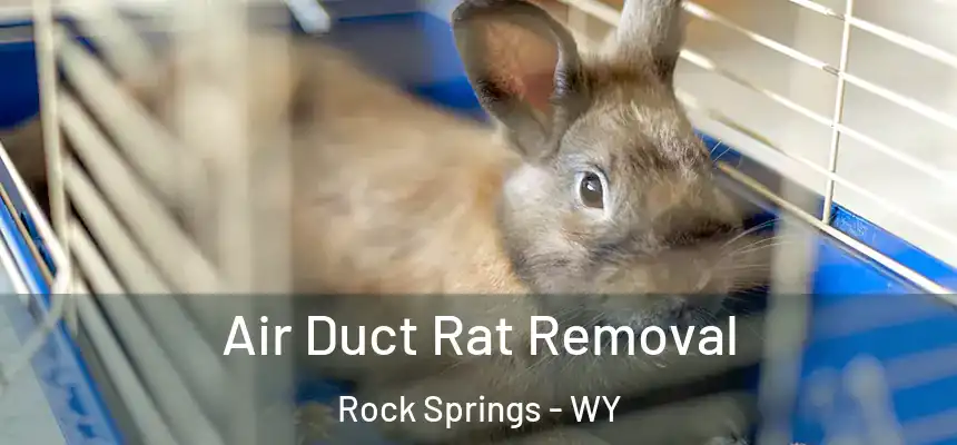  Air Duct Rat Removal Rock Springs - WY