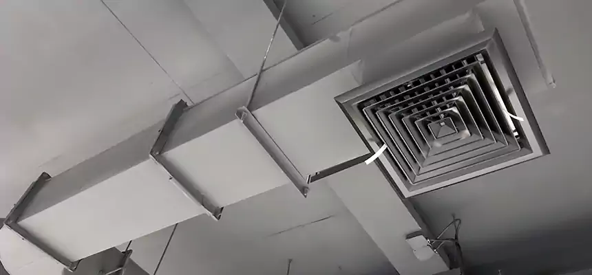 Our Pest Removal From Ducts Services in Rock Springs, WY