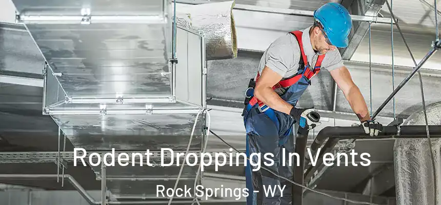 Rodent Droppings In Vents Rock Springs - WY