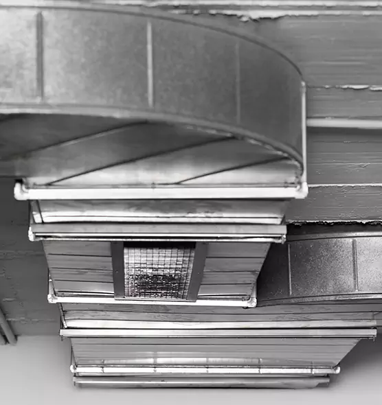 Professional Air Duct Pet Hair Removal in Rock Springs, WY