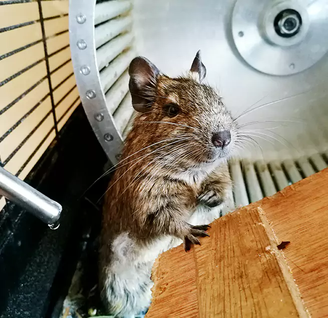 Why Homeowners & Businesses Trust Us Rock Springs, WY?